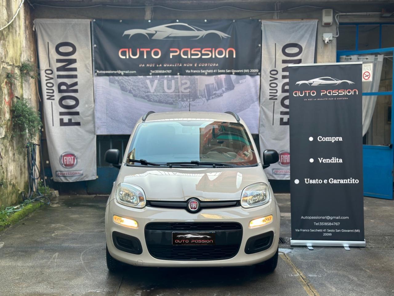 Fiat Panda 1.2 Easy Ok Neopatentati