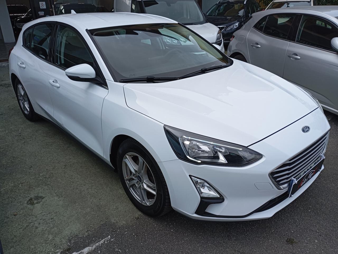 Ford Focus 5P 1.5 EcoBlue 95CV Business