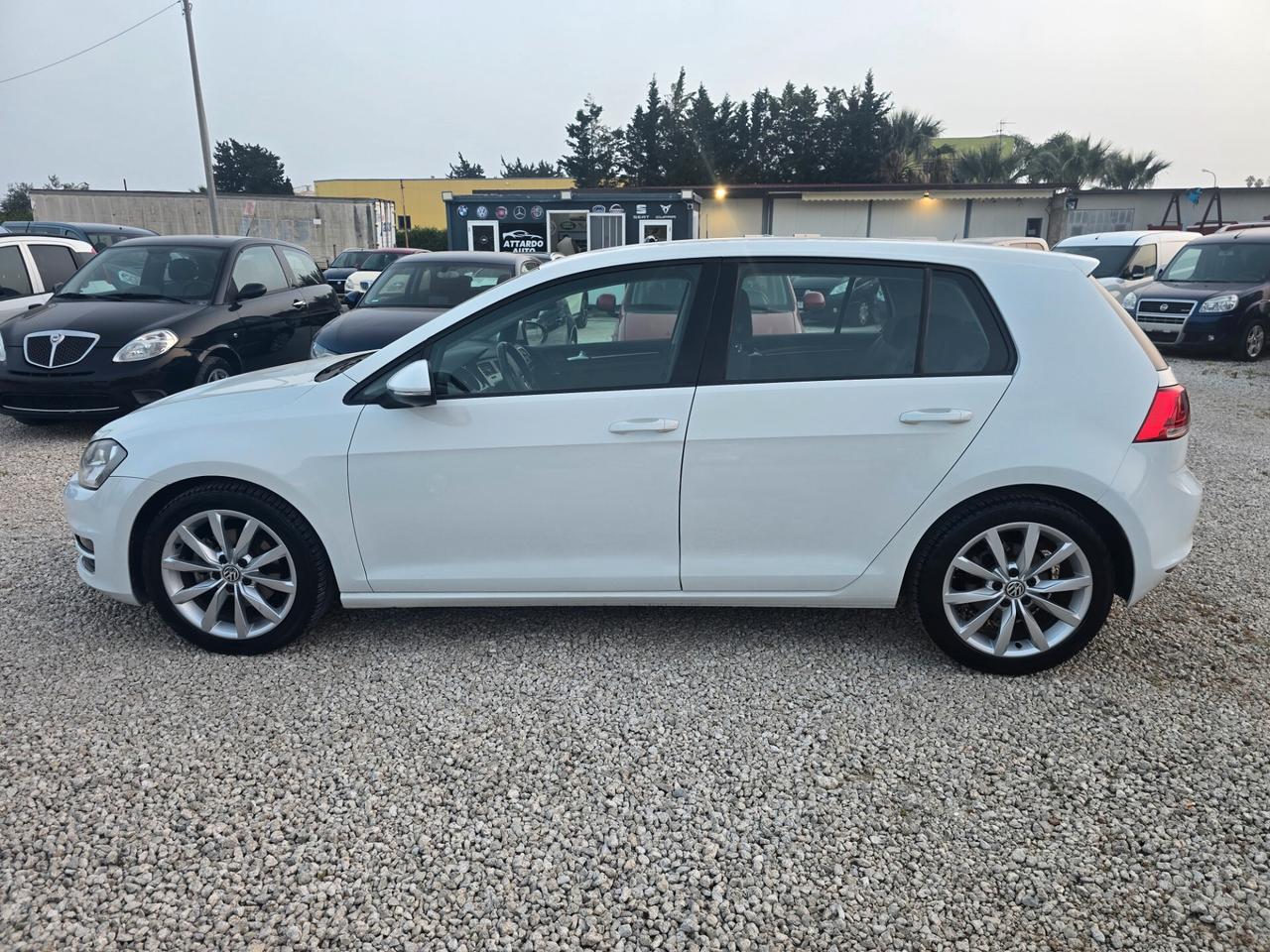 Volkswagen Golf 1.6 TDI 110 CV 5p. Business BlueMotion Technology