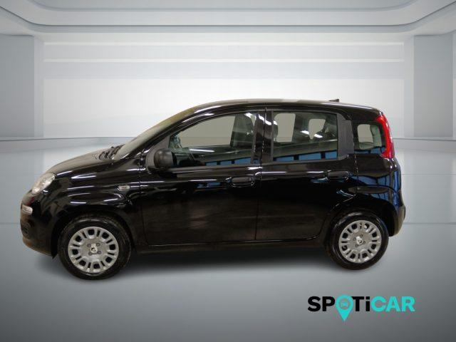 FIAT Panda 1.0 FireFly S&S Hybrid Icon