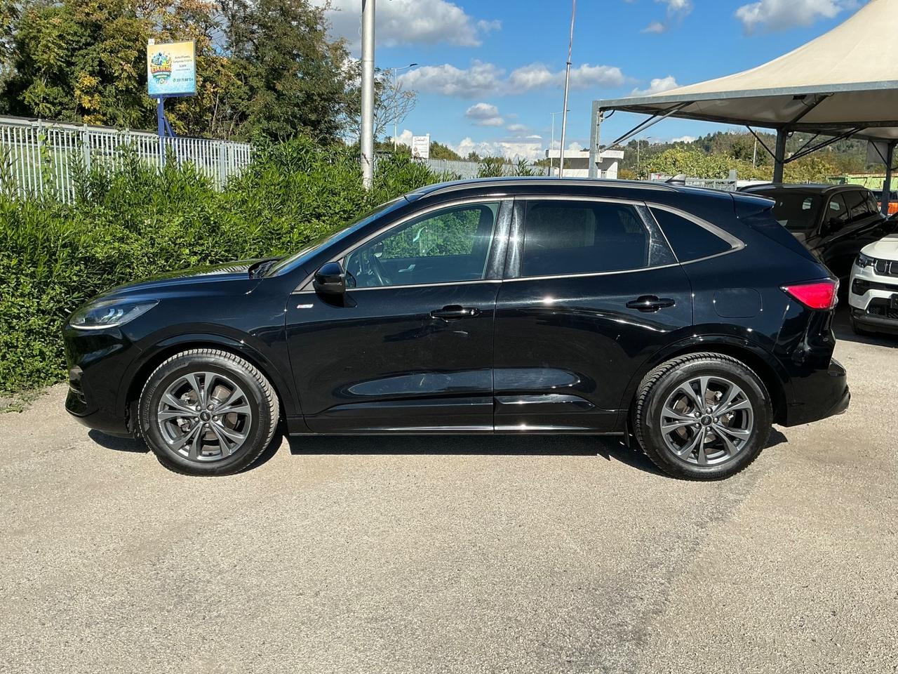 Ford Kuga 2.0 EcoBlue TDCi 120 CV Automatico AT8 ST-Line