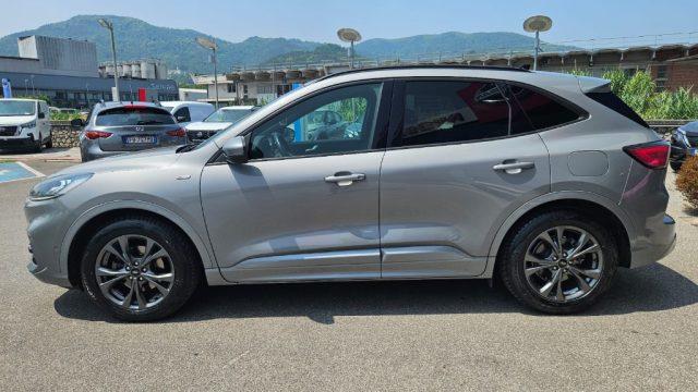 FORD Kuga 1.5 EcoBlue 120 CV aut. 2WD ST-Line X
