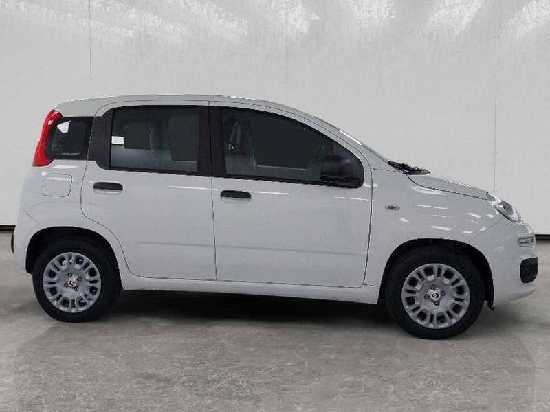 FIAT Pandina 1.0 firefly hybrid Pop s&s 70cv