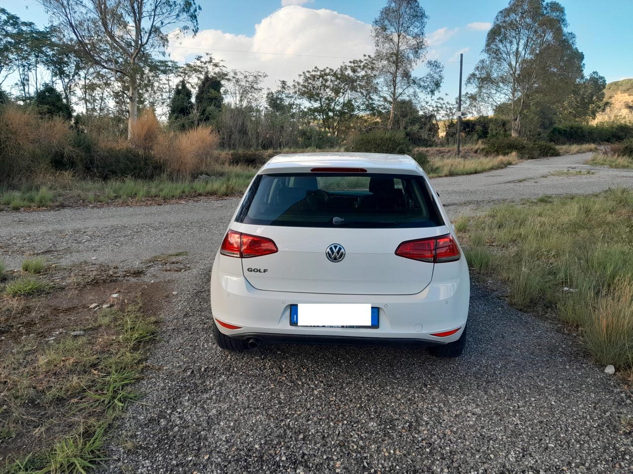 Volkswagen Golf 1.6 TDI 5p. Highline BlueMotion Technology