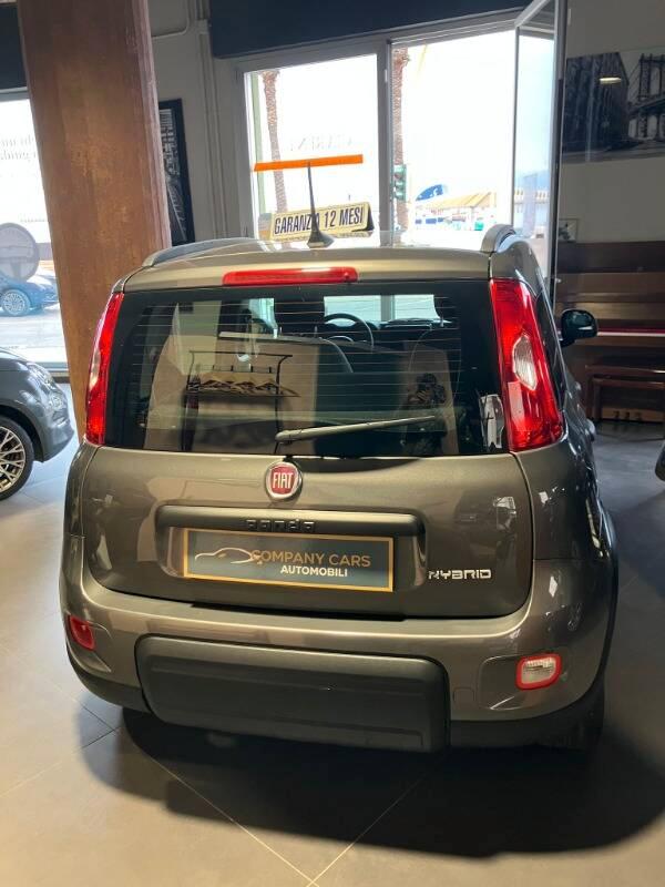 Fiat Panda III 1.0 firefly hybrid City Life s&s 70cv