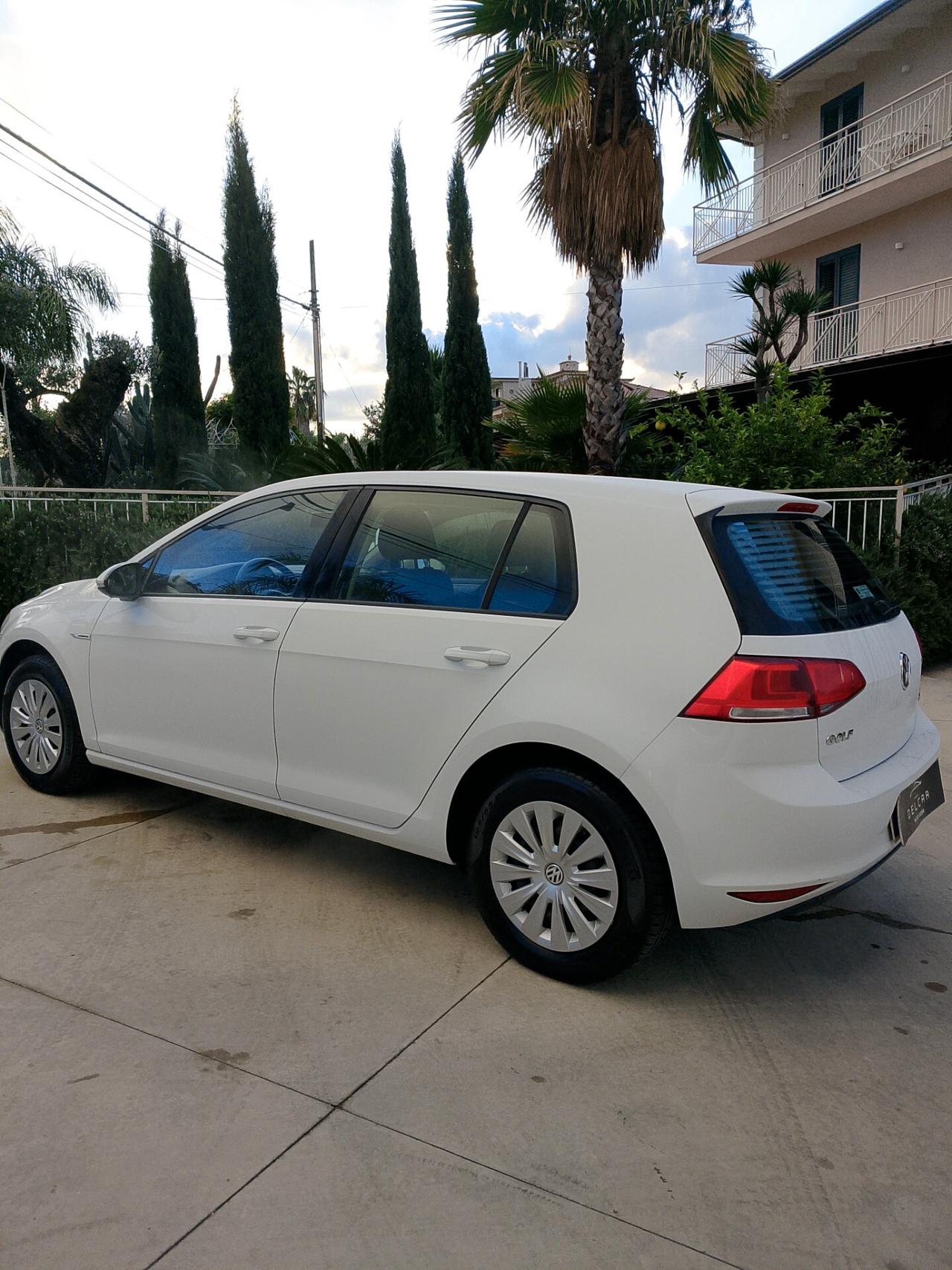 Volkswagen Golf Business 1.4 TGI 5p. Highline BlueMotion