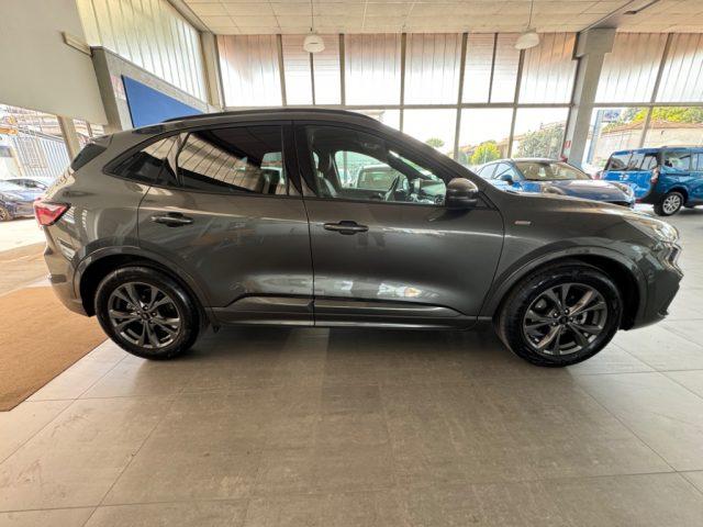 FORD Kuga 1.5 EcoBlue 120 CV AUT 2WD ST-Line