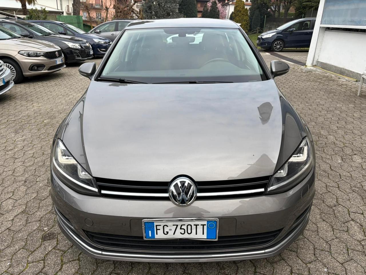 Volkswagen Golf 1.6 TDI 110 CV 5p. Executive BlueMotion Technology*EURO6B*CERCHI