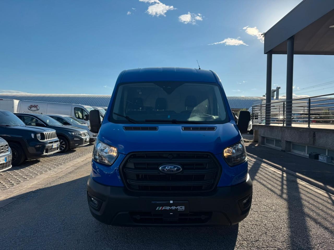 Ford Transit 290 2.0TDCi EcoBlue PM-TM Furgone Trend