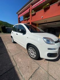 Fiat Panda 1.2