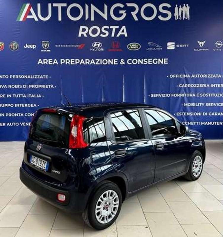 FIAT Panda 1.0 firefly hybrid s&s 70CV USATO GARANTITO