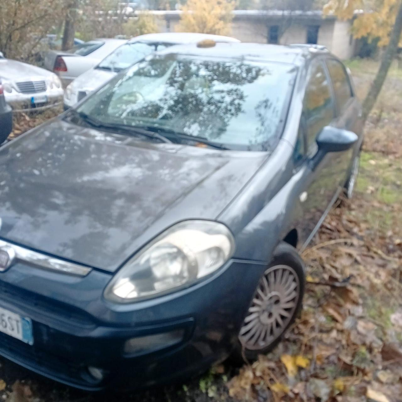 Fiat Punto Evo Punto Evo 1.3 Mjt 75 CV 5 porte Dynamic