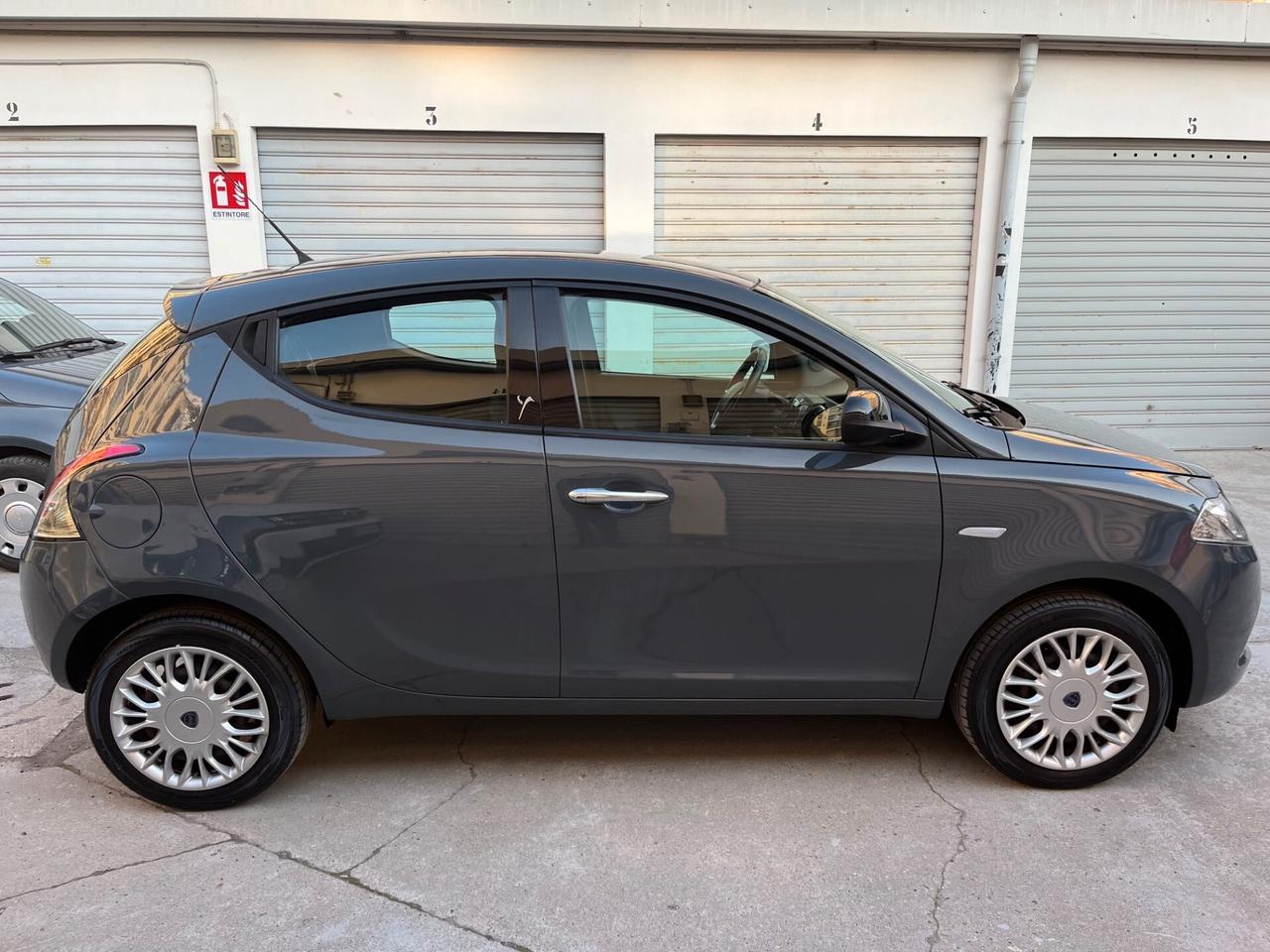 Lancia Ypsilon 1.2 69 CV 5 porte Platinum