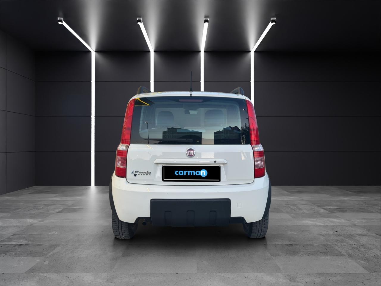 Fiat Panda 1.2 Climbing Natural Power