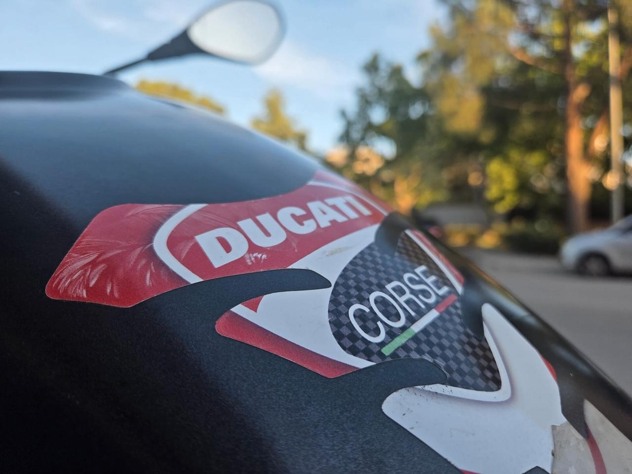 Ducati Monster 695 termignoli