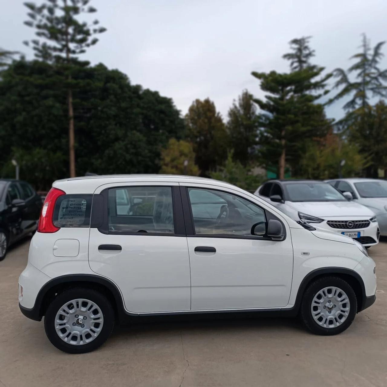 Fiat Panda 1.0 S&S Hybrid Pandina KM0 PRONTA CONSEGNA