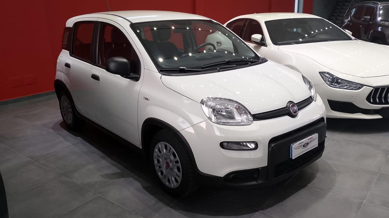 Fiat Panda 1.0 FireFly S&S Hybrid City Life