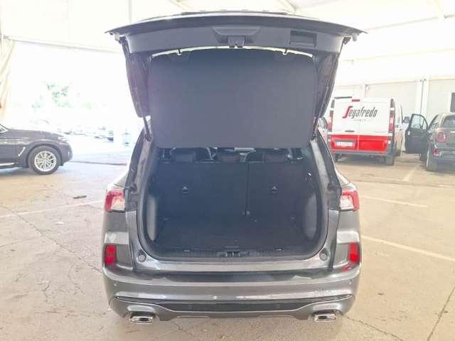 Ford Kuga Kuga 2.0 ecoblue ST-Line 2wd 120cv auto