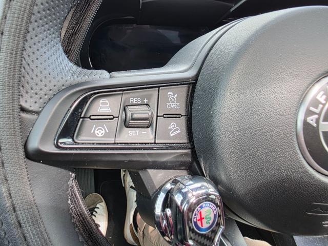 ALFA ROMEO Stelvio 2.2 Turbodiesel 210 CV AT8 Q4 Sprint