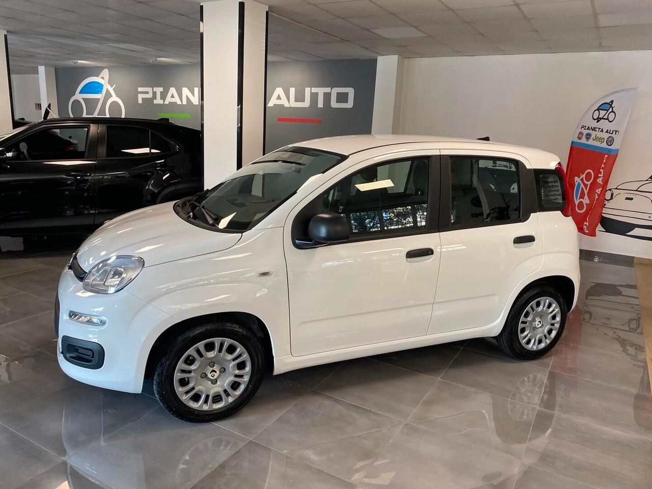 Fiat Panda Icon 1.0 Hybrid 65cv -KMO 2026