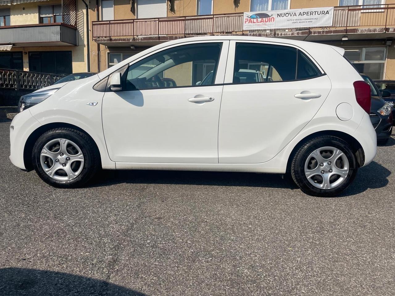 Kia Picanto 1.0 MPI 67 CV – Neopatentati - 2019 - Garanzia fino a 36 mesi