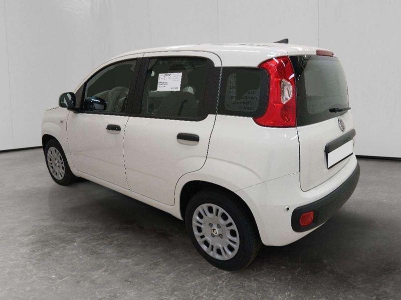 FIAT Pandina 1.0 firefly hybrid Icon s&s 70cv 5p.ti