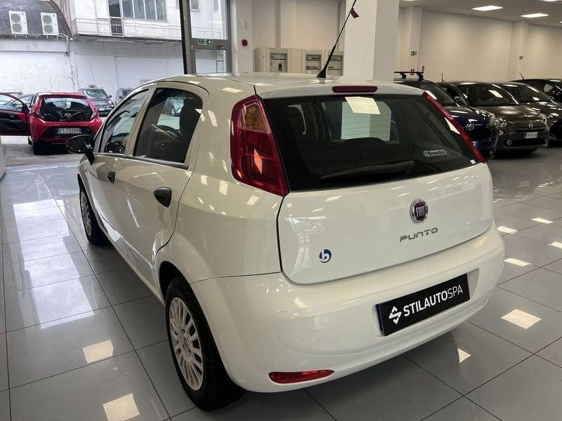 FIAT Punto Punto 1.2 8V 5 porte Street
