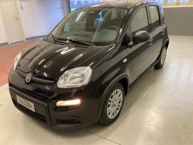 FIAT Panda 1.0 FireFly S&S Hybrid Pandina PROMO GTAUTO