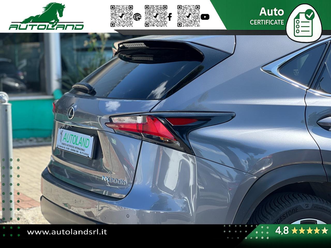 Lexus NX 300h 2.5 F-Sport 4wd