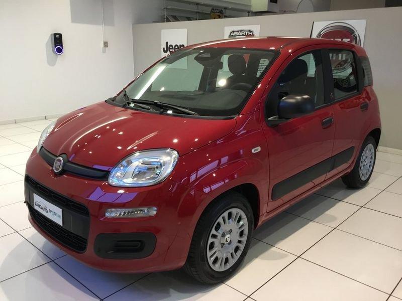 FIAT Panda Panda 1.0 FireFly S&S Hybrid Pop 65cv