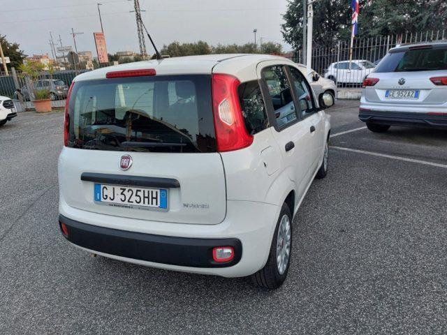 FIAT Panda 1.0 FireFly S&S Hybrid 5 posti Sedile reg altezza