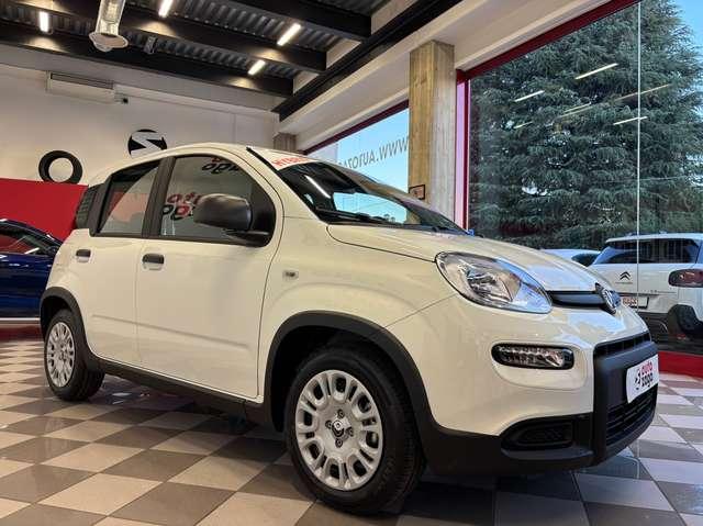 Fiat Panda 1.0 Firefly Hybrid S&S Pandina 5 POSTI