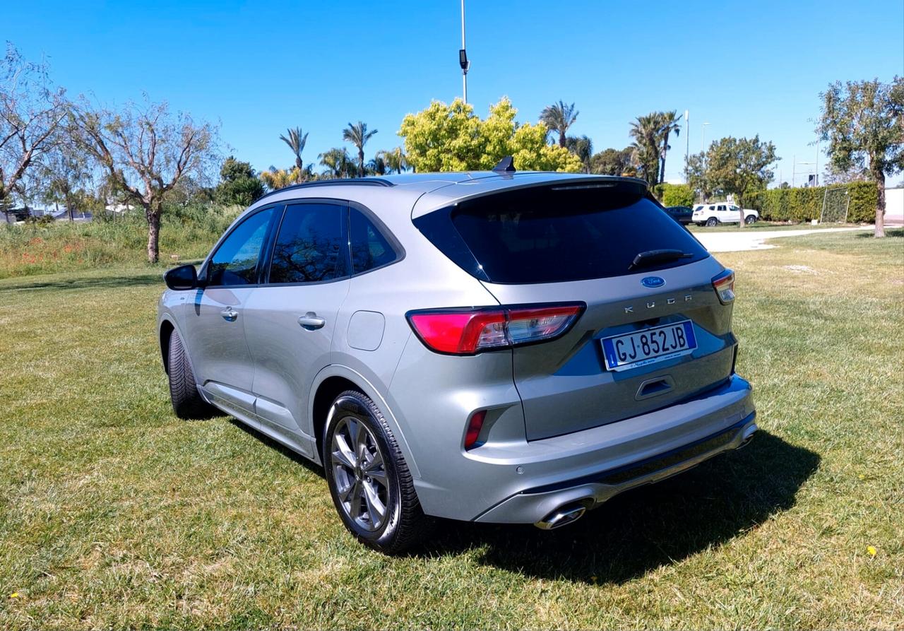 Ford Kuga 1.5 EcoBlue 120 CV aut. 2WD ST-Line