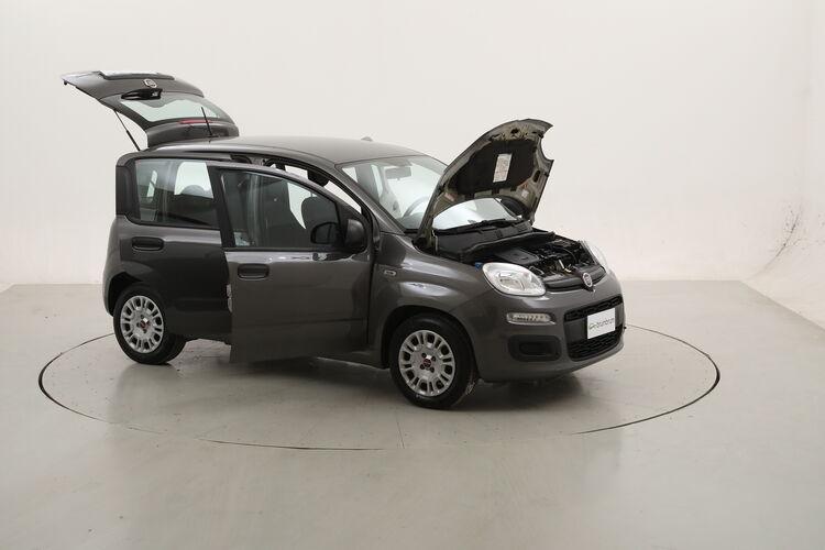 Fiat Panda Hybrid BR437073 1.0 Mild Hybrid 70CV