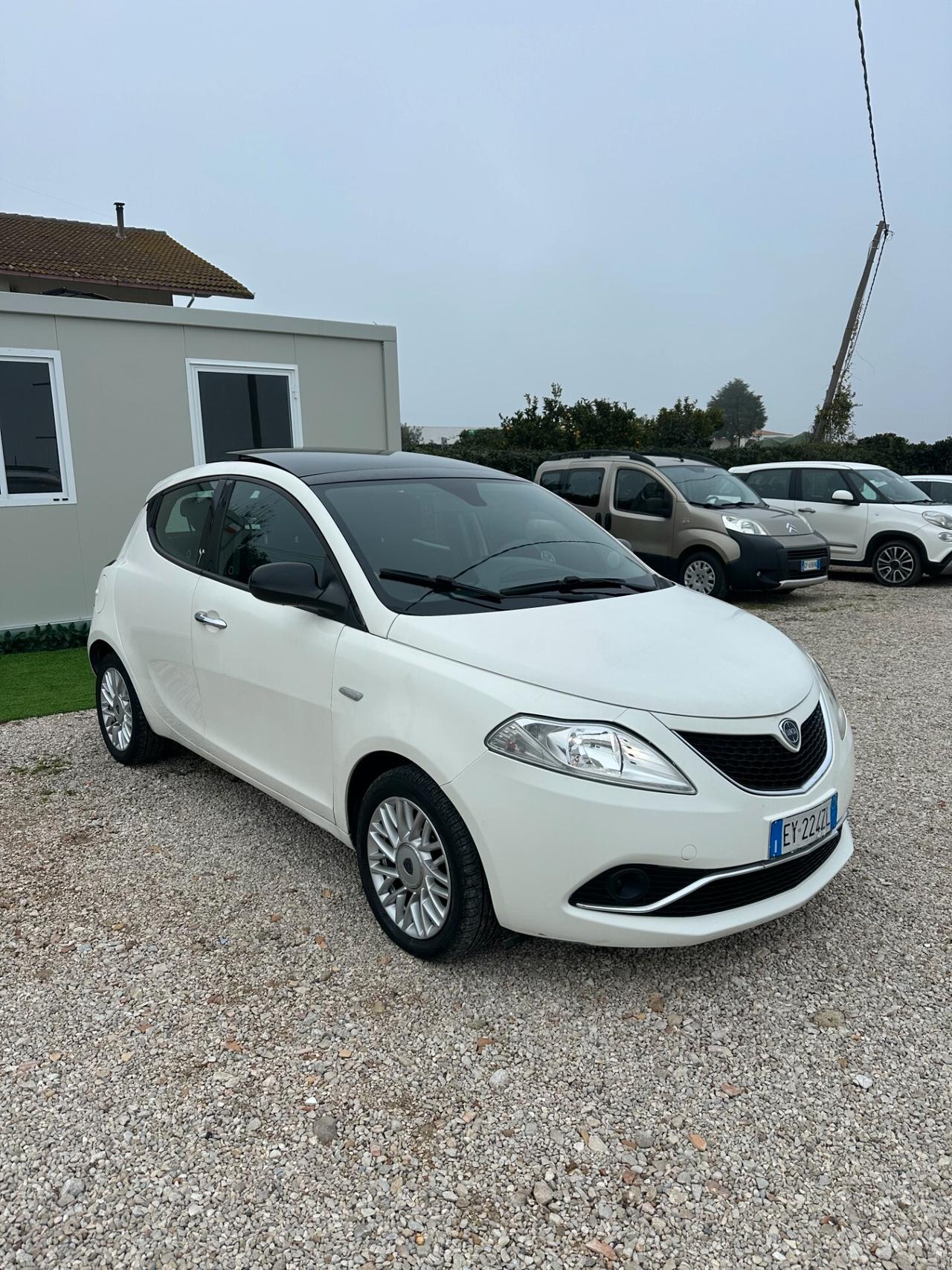 Lancia Ypsilon 1.3 MJT 16V 95 CV 5 porte S&S Elle