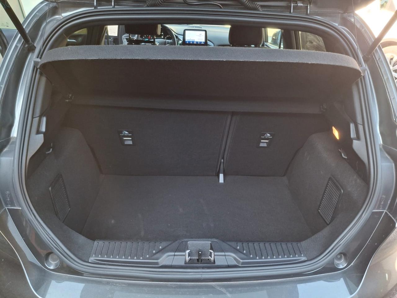 Ford Fiesta 1.0 Ecoboost Hybrid 125 CV 5 porte ST-Line