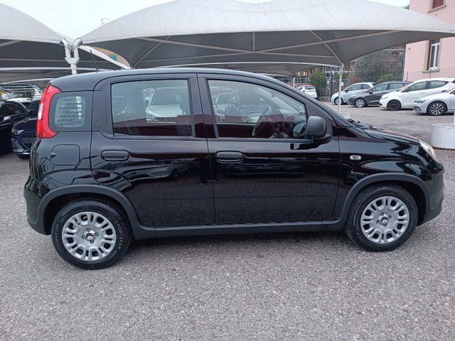 FIAT Panda 1.0 FireFly S&S Hybrid Pandina