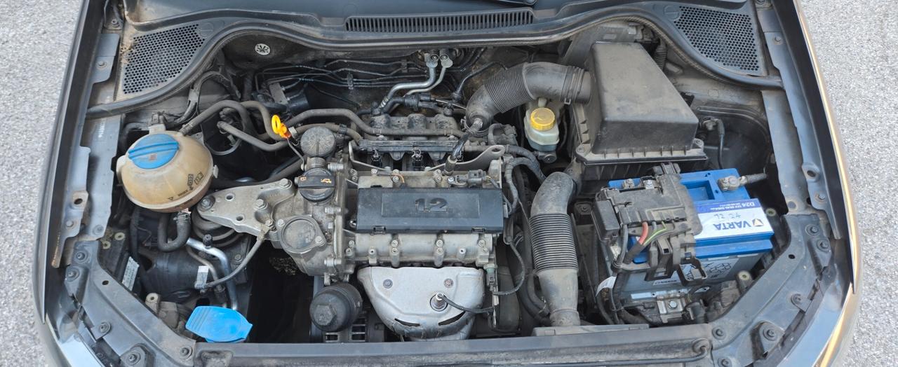 Volkswagen Polo 1.2 70 CV 5p. Comfortline