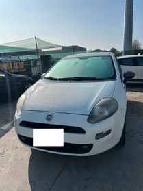 Fiat Punto 1.2 8V 5 porte Lounge ok neo patentati