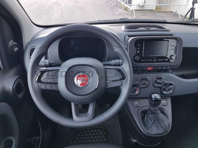 FIAT Panda Panda 1.0 70cv Hybrid Panda