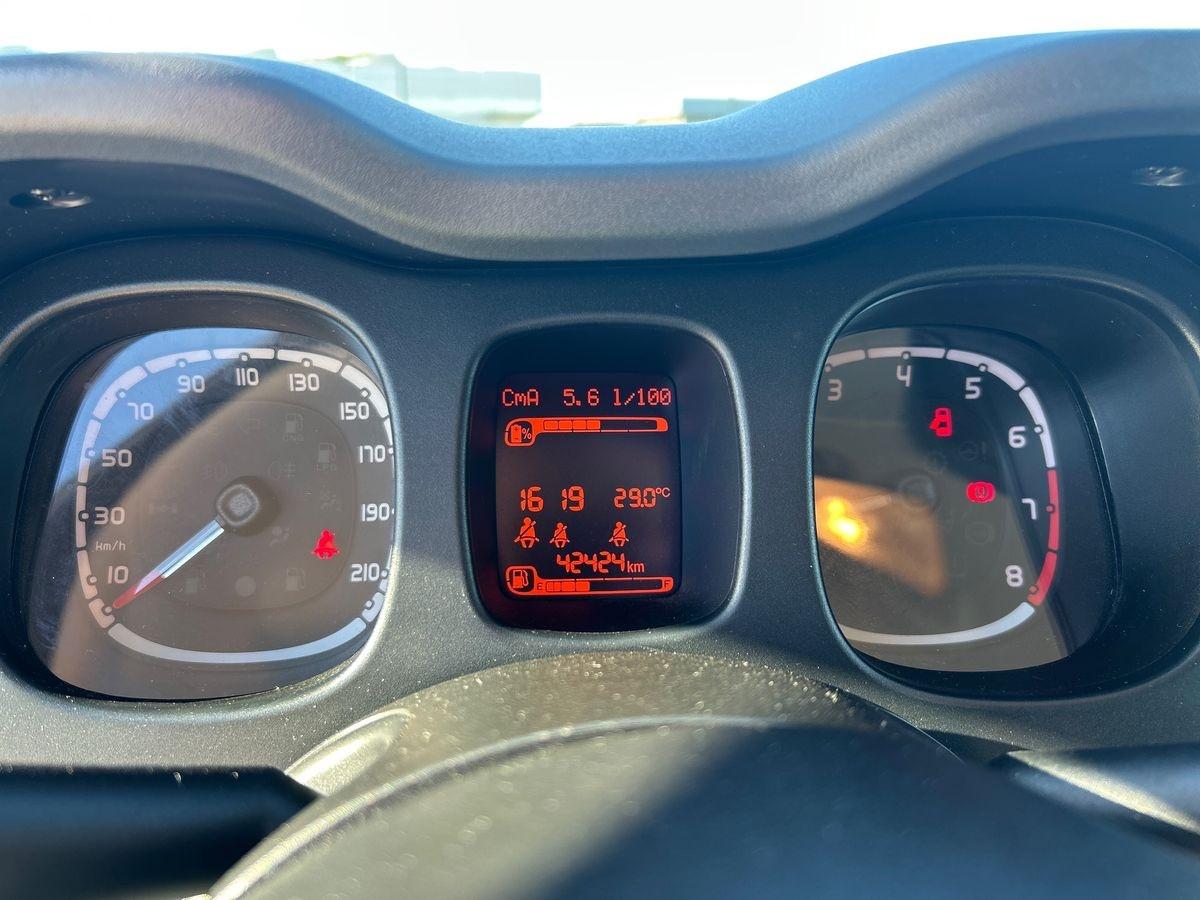 FIAT Panda 3ª serie - Panda 1.0 FireFly S&S Hybrid City Cross