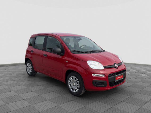 FIAT Panda Pandina 1.0 FireFly 65 CV Hybrid Pop