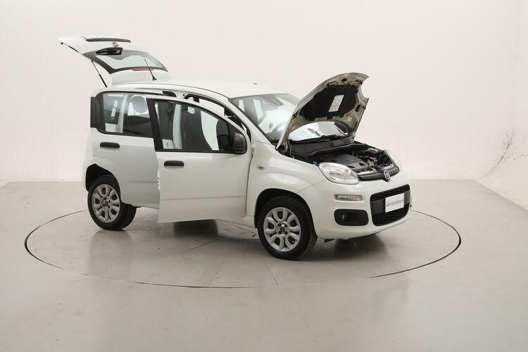 Fiat Panda Easy Natural Power BR856814 0.9 Metano 85CV