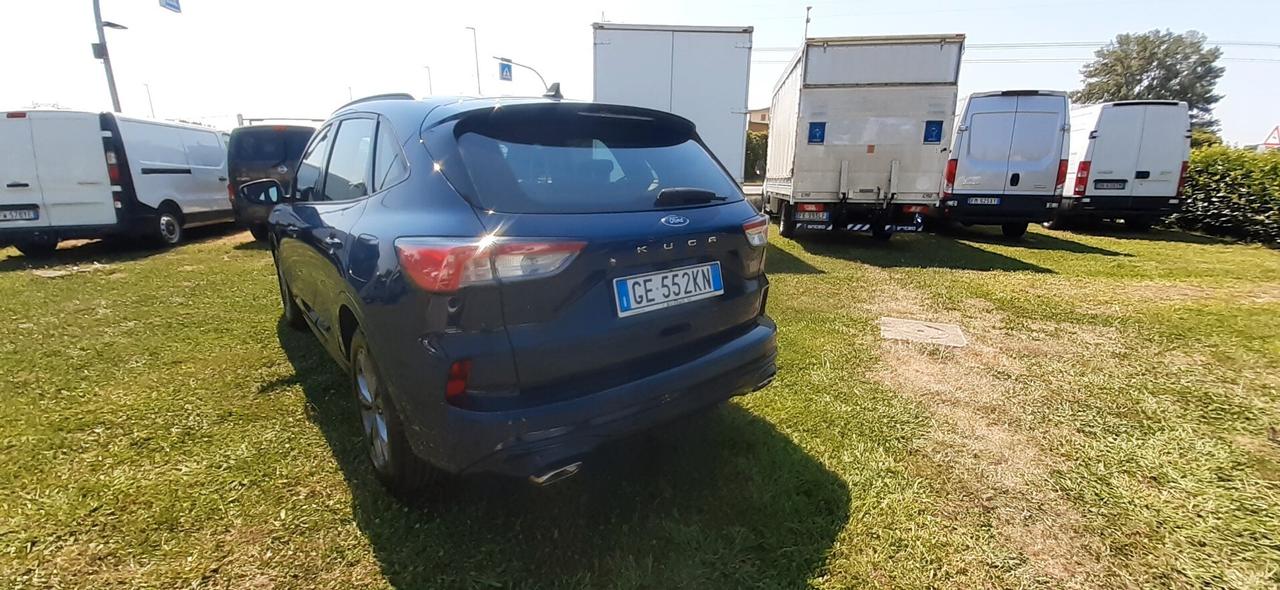 Ford Kuga 1.5 EcoBlue 120 CV aut. 2WD ST-Line