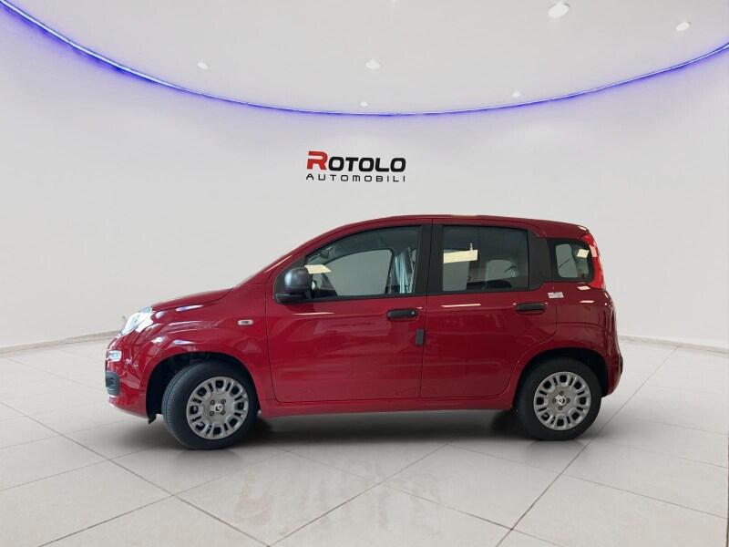 FIAT Pandina Pandina 1.0 FireFly 65 CV Hybrid Icon