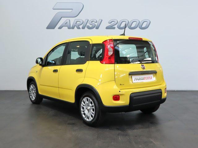 FIAT Panda 1.0 FireFly S&S Hybrid new version 2024