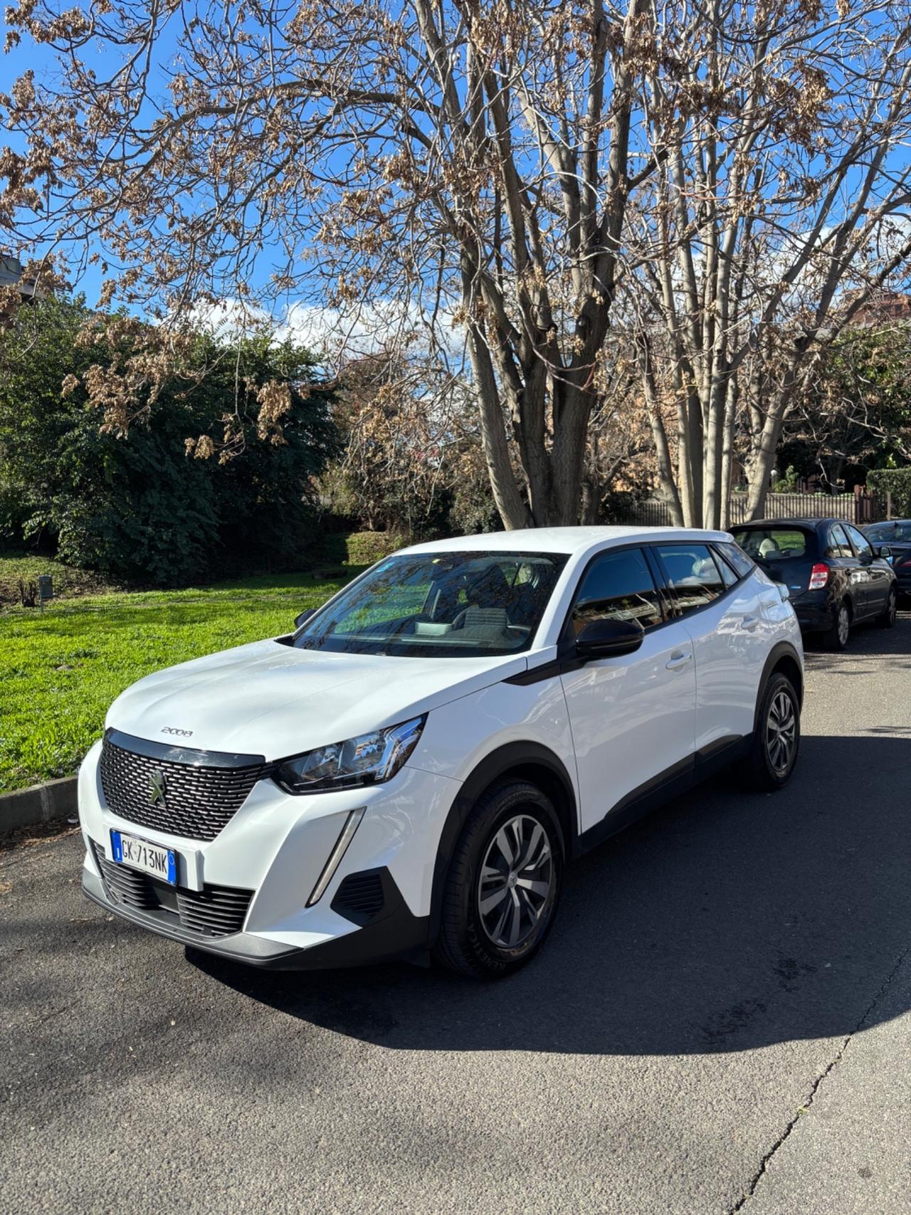 Peugeot 2008 BlueHDi 110 2022