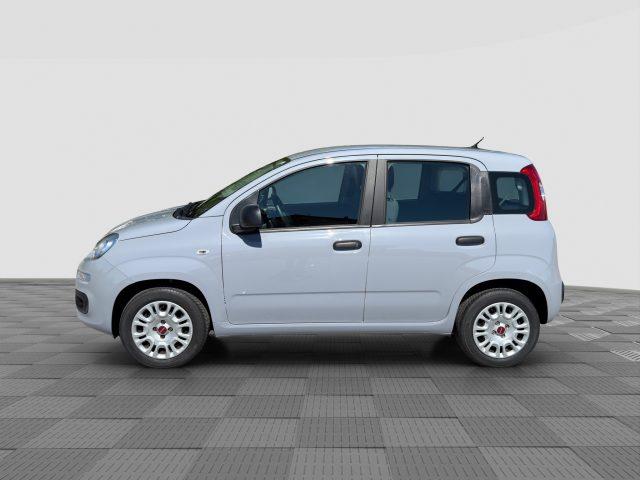 FIAT Panda Panda 1.2 69cv E6 POP
