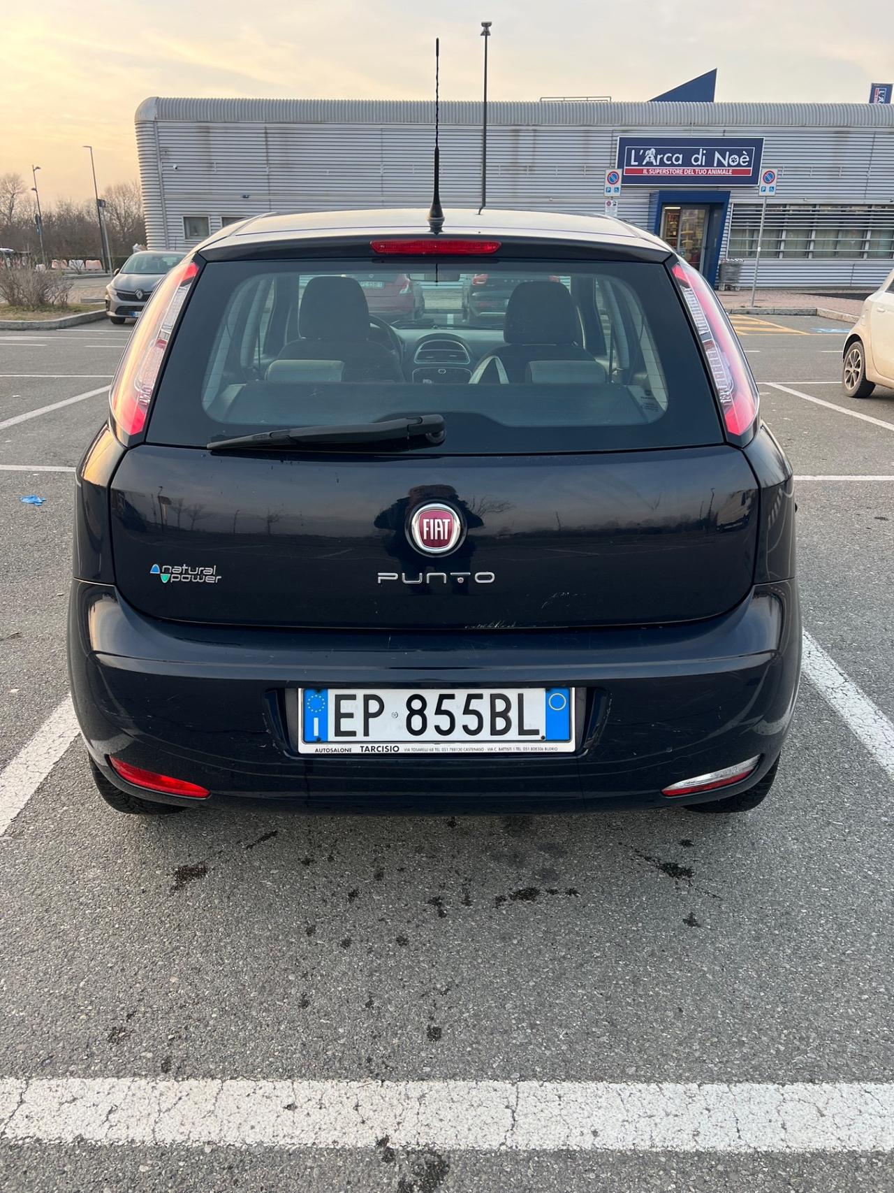 Fiat Punto 1.4 8V 5 porte Natural Power Pop