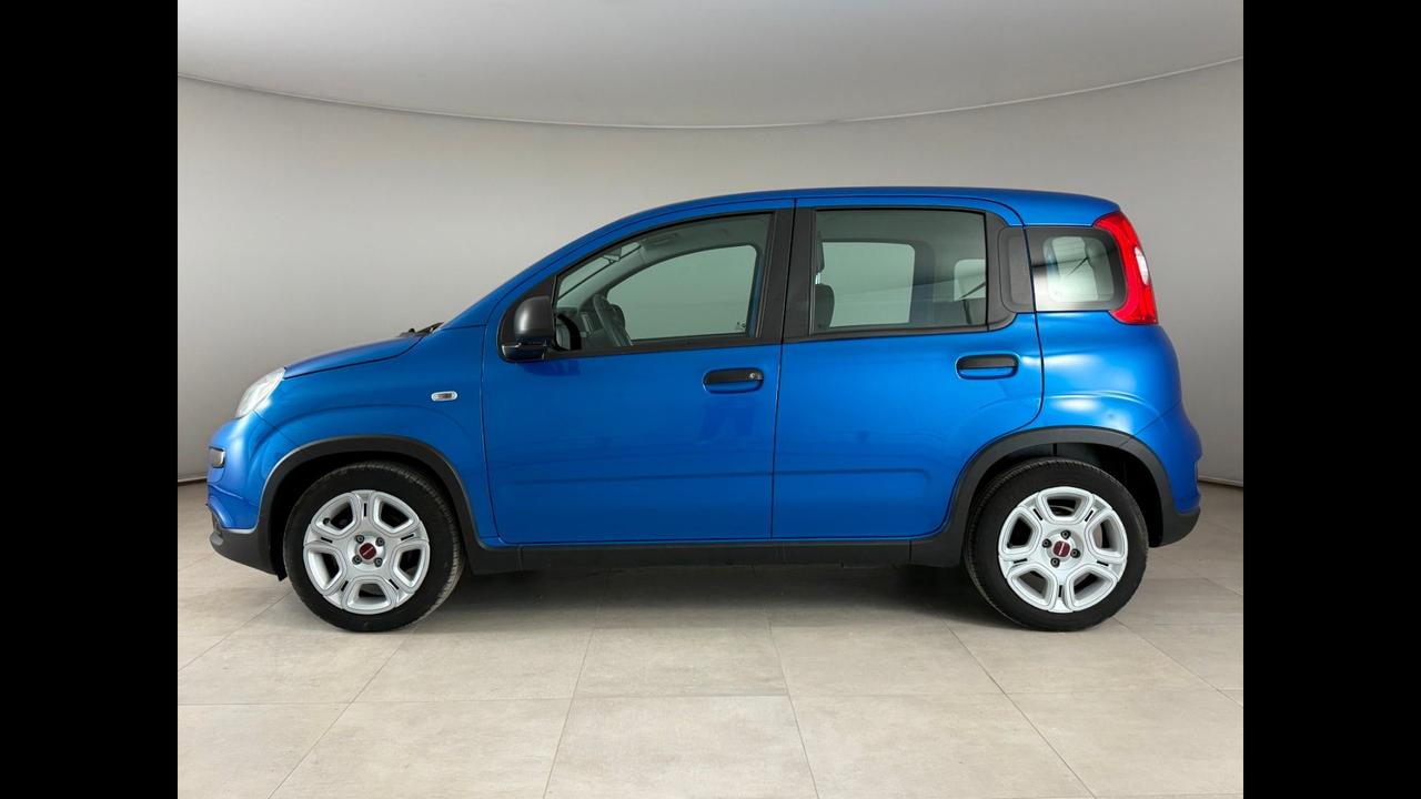FIAT Panda III 2021 - Panda 1.0 firefly hybrid s&s 70cv